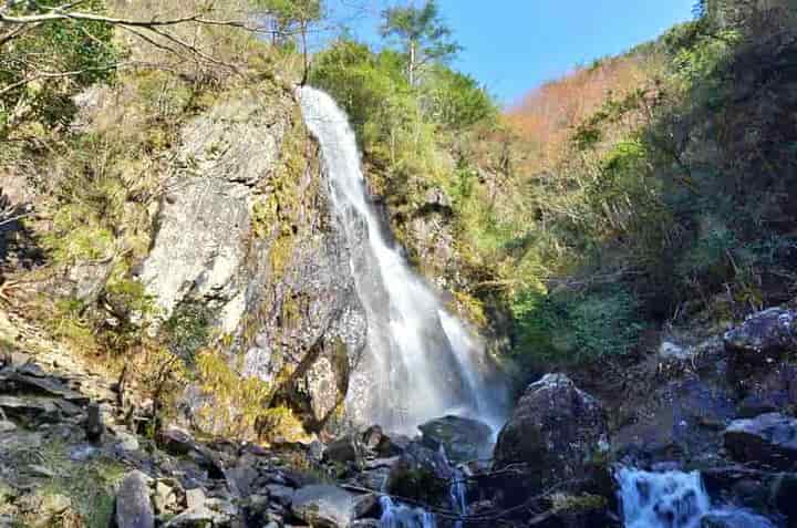 �G���̑�E�_�͒�